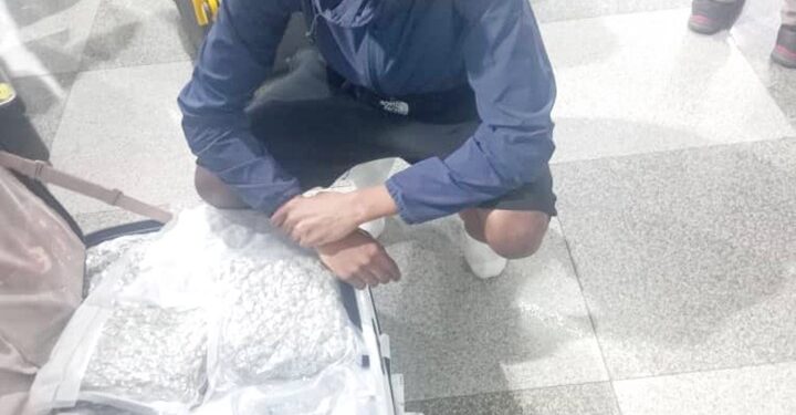 Un joven se arrodilla junto a una maleta llena de cannabis.