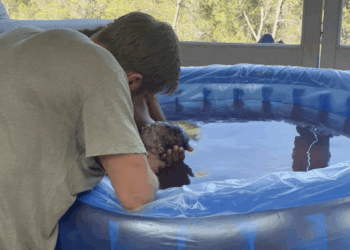 Calvin Harris y Vick Hope dan la bienvenida a First Child Micah