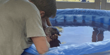 Calvin Harris y Vick Hope dan la bienvenida a First Child Micah