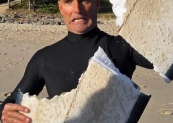 Surfer sosteniendo una tabla de surf dañada por el tiburón.