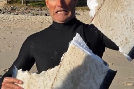 Surfer sosteniendo una tabla de surf dañada por el tiburón.