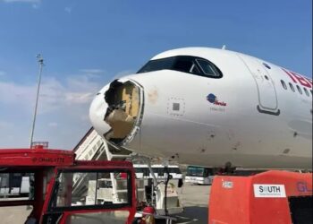 Airbus A321Neo XLR con pájaro daño a la nariz.