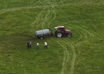 Tractor que extiende el estiércol en un campo.