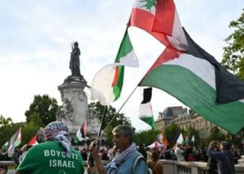 Un hombre sostiene las banderas argelinas (L), libanesas (superiores) y palestinas durante una manifestación pro-palestina contra las acciones de Israel y la hambruna en curso en la Franja de Gaza, y para dar la bienvenida a los activistas liberados de la Liberación de la Freedom Flotilla en el lugar de la République en París, Francia, el 29 de julio de 2025.