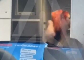 Pasajero agrediendo a una azafata en un avión.