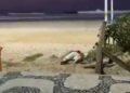 El video todavía muestra a un turista drogado en Ipanema Beach y tres sospechosos que huyen en un taxi.