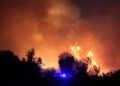 Fuego forestal por la noche.