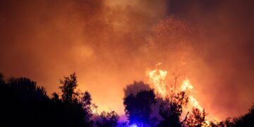 Fuego forestal por la noche.