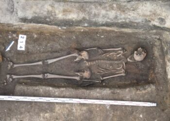 Esqueleto medieval desenterrado debajo de una heladería.