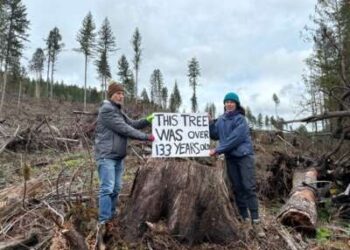 Las tribus condenan a Trump por retroceder del acuerdo del río Columbia para la recuperación del salmón