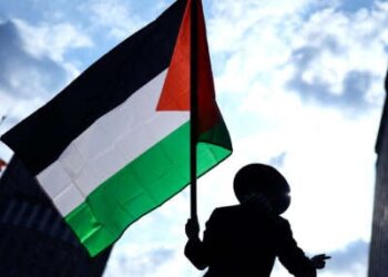 Un manifestante con un sombrero de montura ancha ondea una bandera palestina
