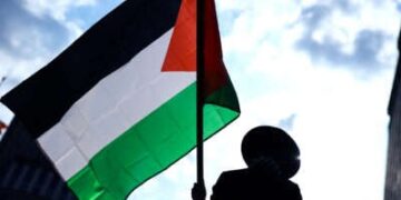 Un manifestante con un sombrero de montura ancha ondea una bandera palestina