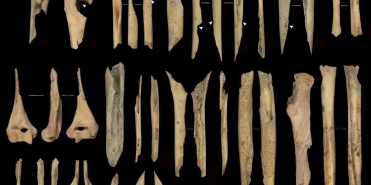 Restos humanos canibalizados de un choque neolítico.