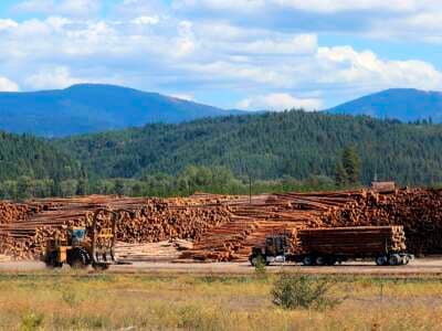Los trabajadores agregan troncos recién cosechados a las pilas en un patio de troncos de la compañía maderera cerca de Clarkia, Idaho.