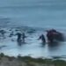 Personas que ayudan a un vehículo atrapado en aguas poco profundas.