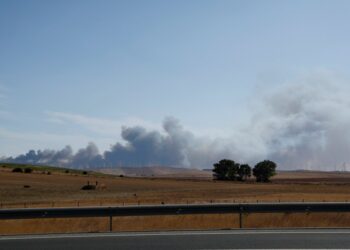 Fumar desde un incendio forestal cerca de la playa de Bolonia en Tarifa, España.