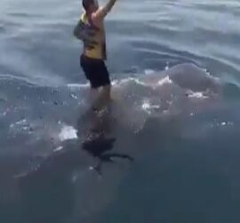 Persona parada sobre una ballena en el océano.