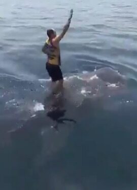 Persona parada sobre una ballena en el océano.