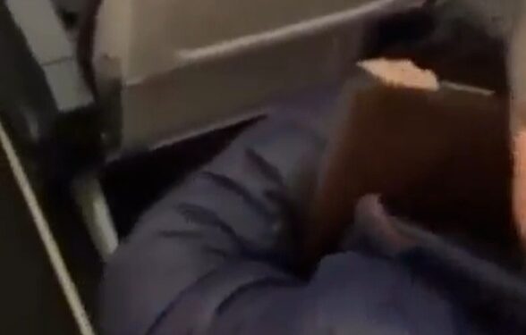 Persona en avión con un libro.