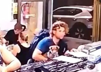 Un hombre con cabello rizado y un perro en su regazo en un mostrador.