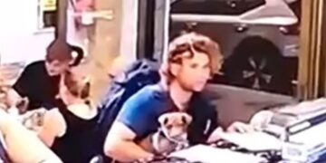 Un hombre con cabello rizado y un perro en su regazo en un mostrador.
