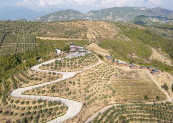 Vista aérea de Solis Farm, un olivo, restaurante y cabañas en una región montañosa de Albania.