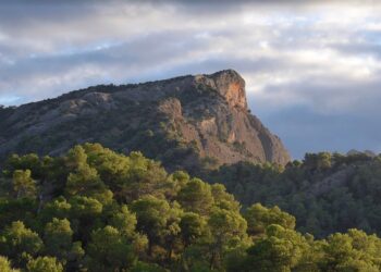 Roca Grossa Woods cerca de Lloret de Mar, donde se cree que un cuerpo era extraño a Josh Rogers.