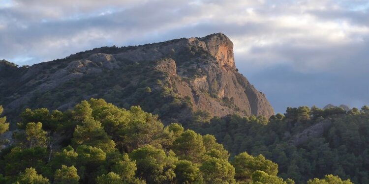 Roca Grossa Woods cerca de Lloret de Mar, donde se cree que un cuerpo era extraño a Josh Rogers.