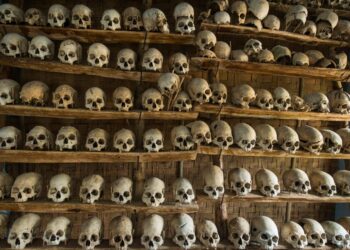 Numerosos cráneos humanos en estantes de madera.