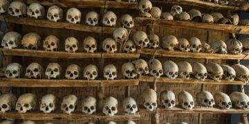 Numerosos cráneos humanos en estantes de madera.