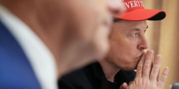 Las motivaciones políticas de Elon Musk dependen de él ", dice el presidente de Tesla