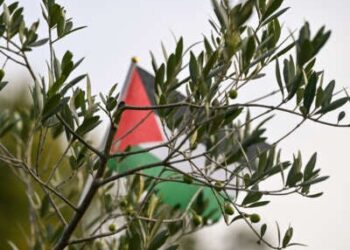 Un olivo se encuentra en el monumento de los periodistas, simbolizando un homenaje a todos los periodistas palestinos asesinados en Gaza por el ejército israelí, el 11 de octubre de 2024.