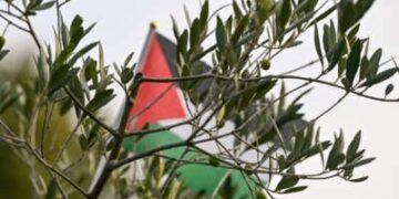 Un olivo se encuentra en el monumento de los periodistas, simbolizando un homenaje a todos los periodistas palestinos asesinados en Gaza por el ejército israelí, el 11 de octubre de 2024.