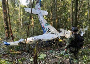 Un soldado en camuflaje se encuentra cerca de los restos de un avión en un bosque denso.