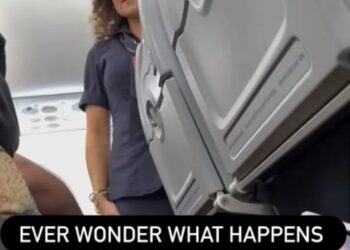 Una azafata que enfrenta a un pasajero en un avión.