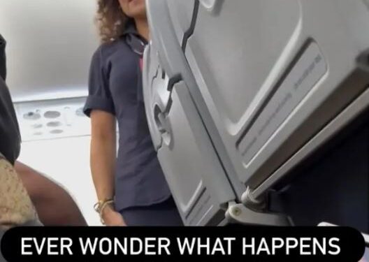 Una azafata que enfrenta a un pasajero en un avión.