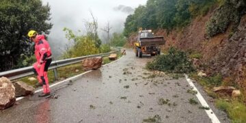 Un bombero y una retroexcavadora que limpia el árbol caído y se mueve de una carretera.