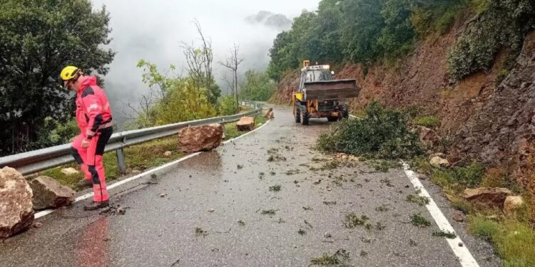 Un bombero y una retroexcavadora que limpia el árbol caído y se mueve de una carretera.