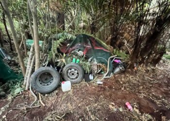 Foto de un campamento improvisado en una zona boscosa.