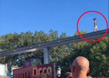 Niño caminando encima de una pista de monorail.