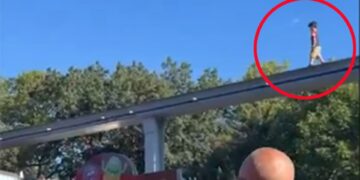 Niño caminando encima de una pista de monorail.