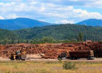 Los trabajadores agregan troncos recién cosechados a las pilas en un patio de troncos de la compañía maderera cerca de Clarkia, Idaho.