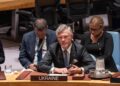 Embajador Andrii Melnyk de Ucrania en una reunión del Consejo de Seguridad de la ONU.