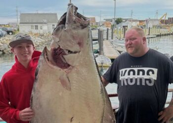 Young Man and the Sea: la pesca adolescente en la costa de Nueva Inglaterra captura enorme halibut más grande que él