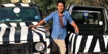 Zookeeper parado entre dos jeeps de safari rallados en cebra.