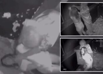 Un collage de imágenes que contiene 3 imágenes. La imagen 1 muestra una fotografía monocromática de una mujer que recibe golpes y descargas eléctricas. La imagen 2 muestra a dos personas con ropa de color claro peleando. La imagen 3 muestra imágenes infrarrojas de CCTV de un empleado con una cara de miedo y un disfraz agarrando a una mujer.