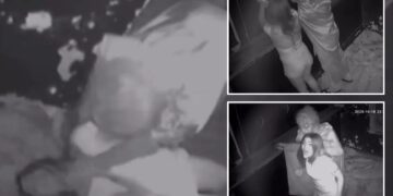 Un collage de imágenes que contiene 3 imágenes. La imagen 1 muestra una fotografía monocromática de una mujer que recibe golpes y descargas eléctricas. La imagen 2 muestra a dos personas con ropa de color claro peleando. La imagen 3 muestra imágenes infrarrojas de CCTV de un empleado con una cara de miedo y un disfraz agarrando a una mujer.