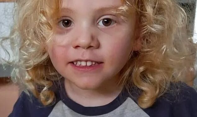 August 'Gus' Lamont, un niño de 4 años, con cabello rubio rizado y ojos marrones, con una camisa gris que dice "Mi mamá" con un cerdo rosa.