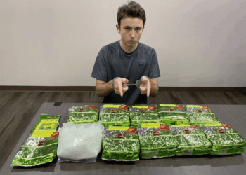 Un joven con esposas se sienta detrás de una mesa con múltiples paquetes verdes y una bolsa de sustancia blanca.