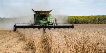 China acuerda comprar 25 millones de toneladas métricas de soja estadounidense al año, dice Bessent